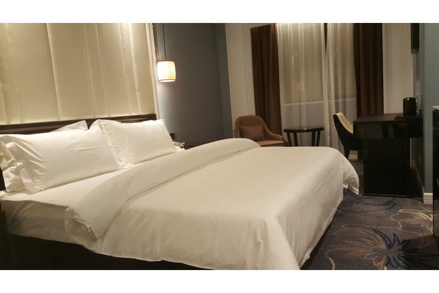 Jinjiang Metropolo Nanjing Confucius Temple Center Hotel Екстериор снимка